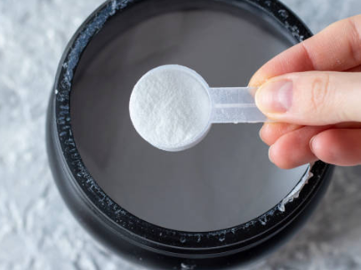 Ciclo de la creatina