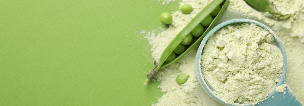 Proteína aislada o concentrada: cuál elegir según tu objetivo